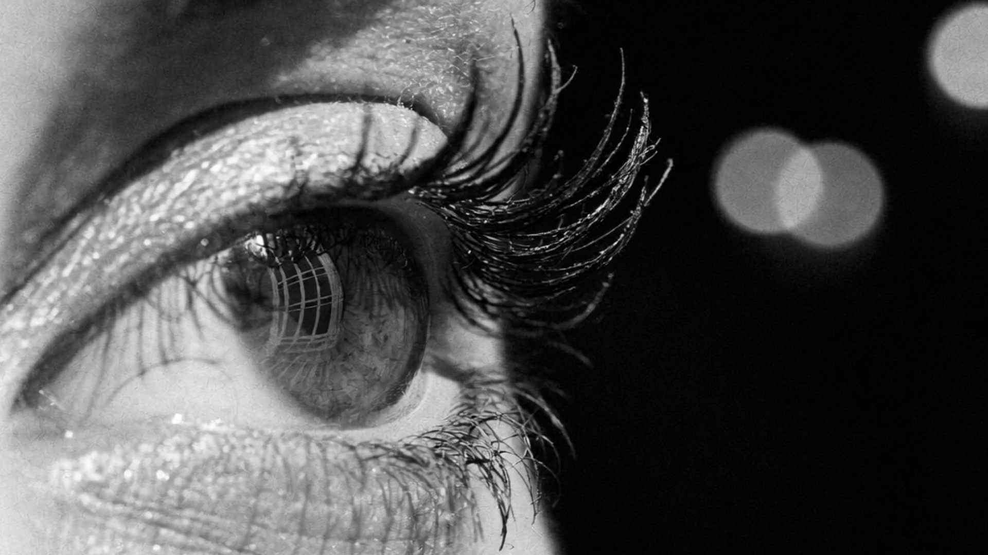 Extensions de cils Paris — Iconic Face